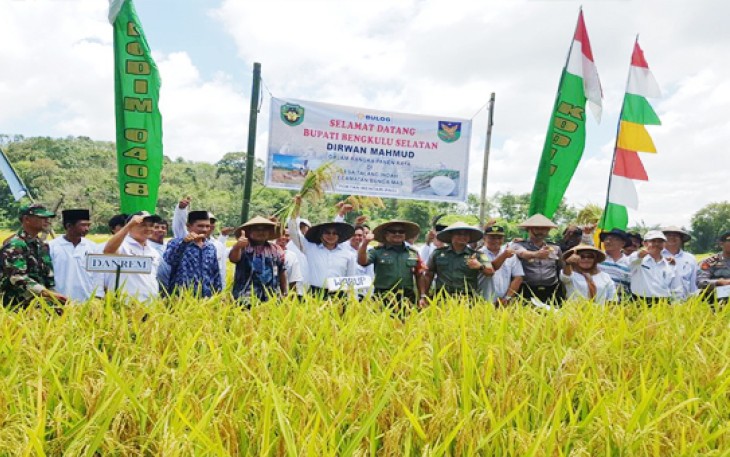 Wakil Bupati Bengkulu Selatan, Gusnan Mulyadi memimpin panen raya padi, Kamis (16/03/2017)