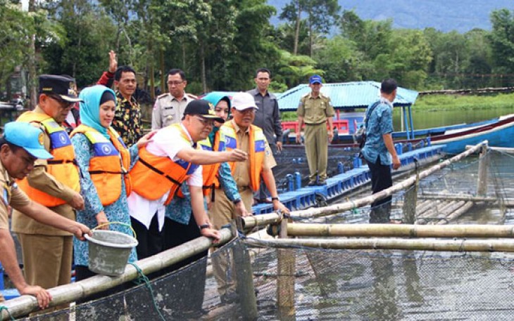Wagub memberikan pakan ikan nila