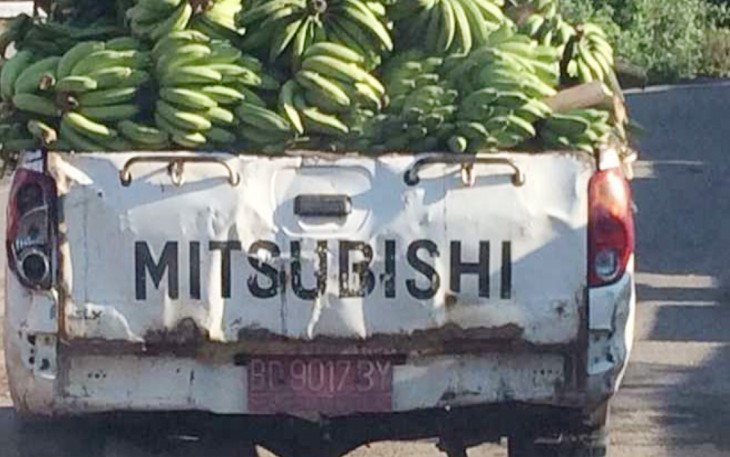 Mobnas Setda BS Dipakai Angkut Pisang