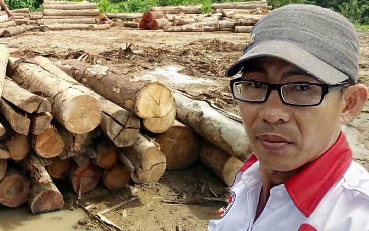 Tumpukan Kayu Log Pondok Pusaka