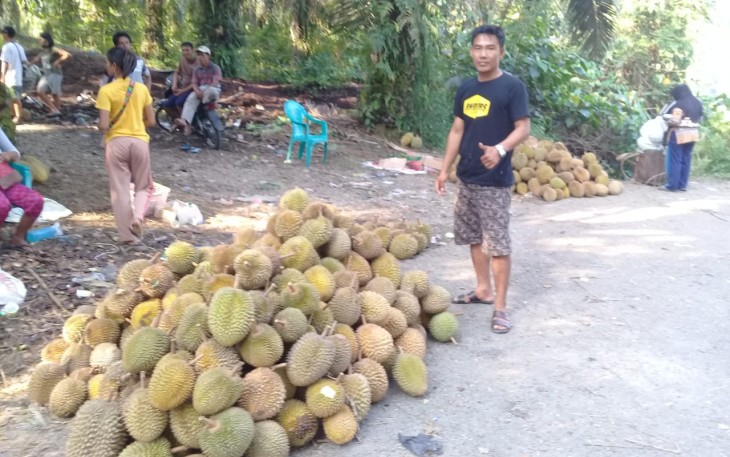 Lokasi jualan durian di Kedurang