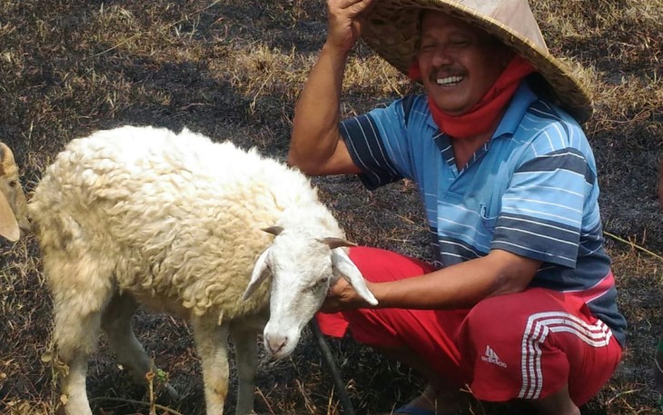 TMMD Blukbuk Mudahkan Mencari Pakan Ternak