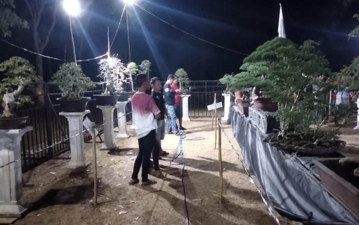 Situasi pameran bonsai KBP di malam hari