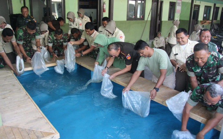 Pelepasan ikan terapi di kolam baru 