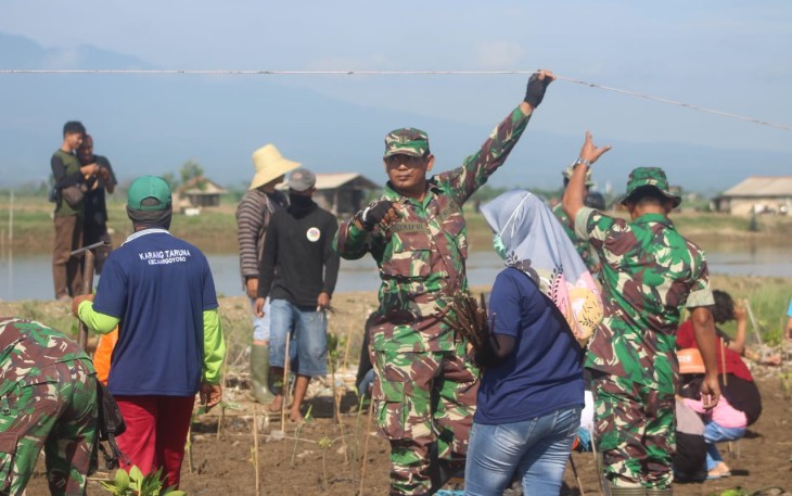 Penanaman mangrove kembali dilakukan di pantai Pangkalan