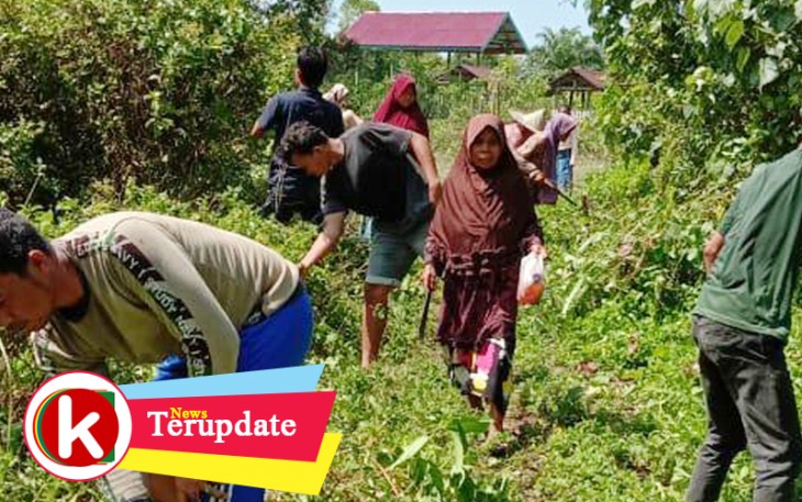 Warga Desa Kayu Menang Aceh Singkil mengikuti kegiatan padat karya tunai yang dilaksanakan didesanya.