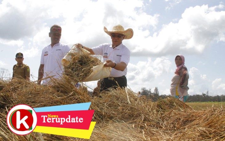 Bupati Lingga Alias Wello saat mengunjungi petani