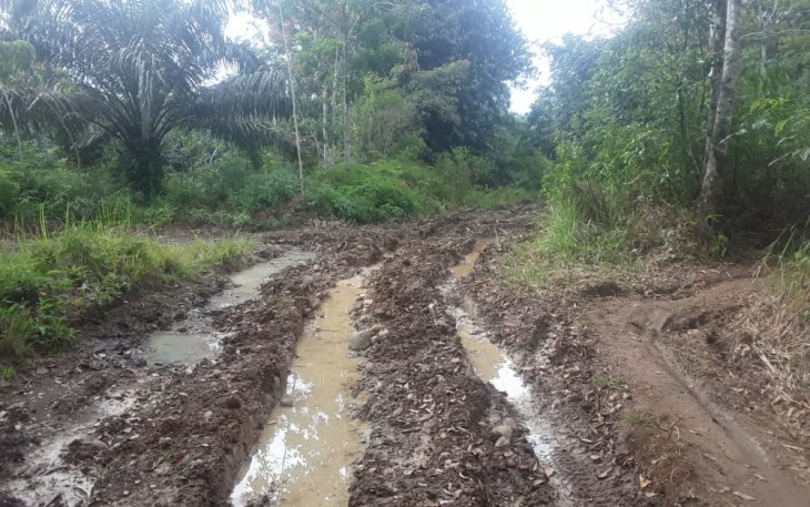 Kondisi Jalan Usaha Tani Desa Setia Budi 