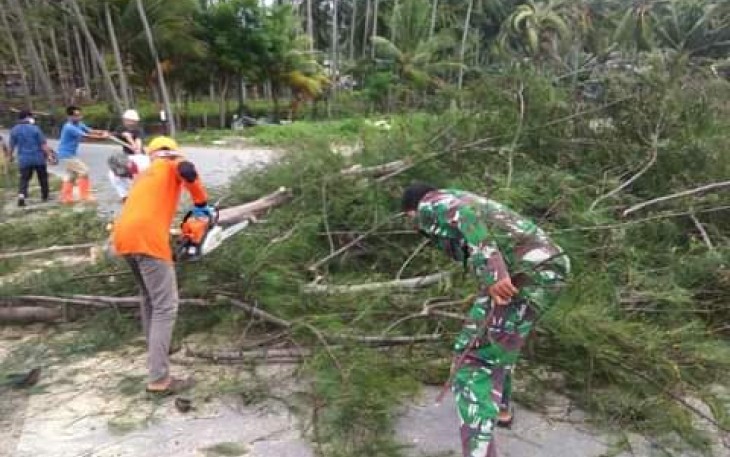 Tanggap Darurat Bencana BPBD Selayar Lakukan Pembersihan Pohon Tumbang 