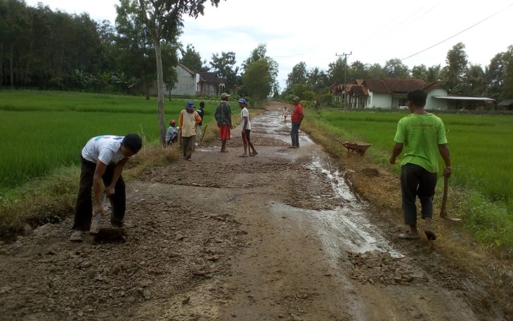Kepala Desa Sriwedari Gotong Royong Perbaiki Jalan Rusak Bersama Warga