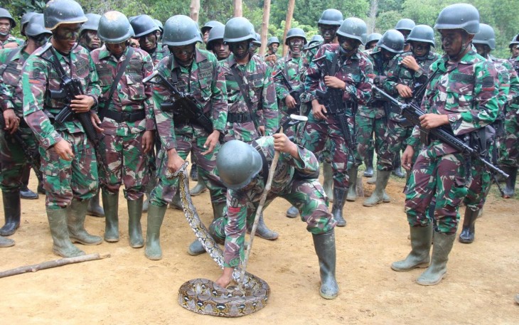 Yonif Raider Khusus 136/TS Gelar Latihan Pertempuran Hutan 'Jungle war'