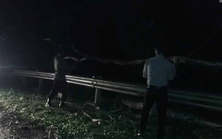 Polisi Bersama Warga Evakuasi Pohon Tumbang di Jalinbar Bengkulu-Padang