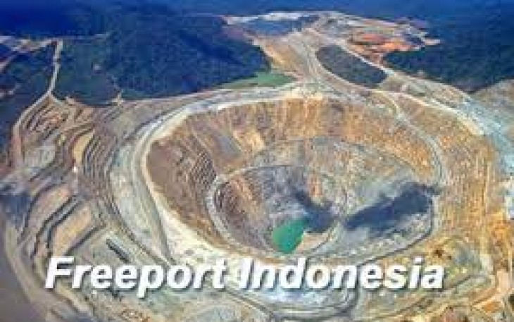  Freeport Indonesia 