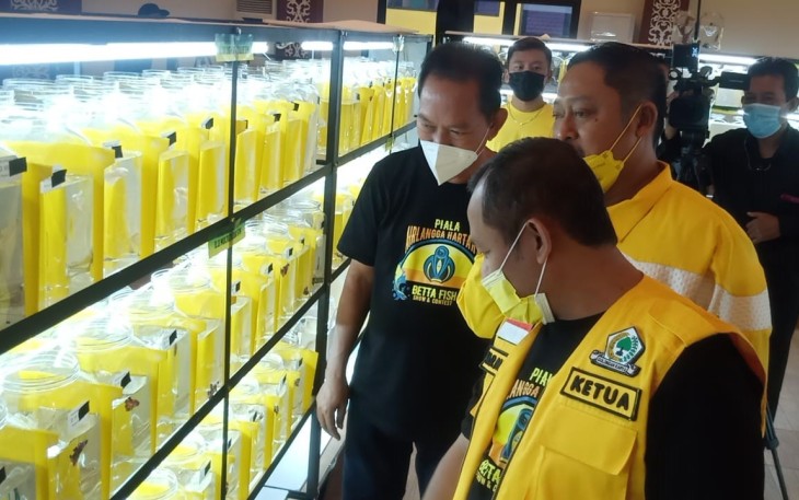 Sebanyak 1057 Peserta Lomba Ikan Cupang Berebut Piala Airlangga Hartarto