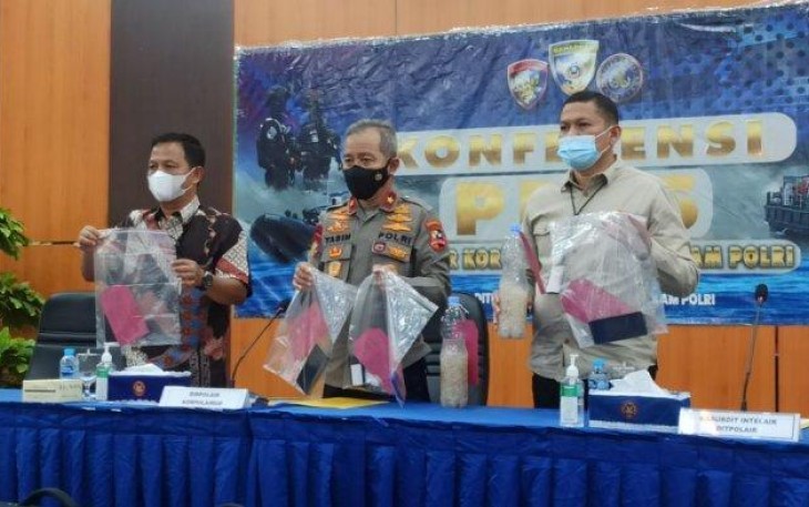 Polri Gagalkan Penyelundupan 122.100 Benih Lobster ke Singapura
