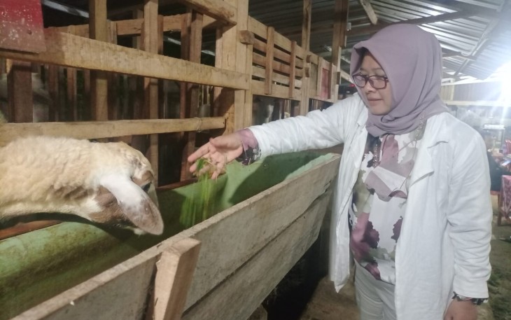 Anggota Komisi D Fraksi PDI Perjuangan DPRD Kabupaten Karanganyar, Endang Muryani, saat meninjau farm atau peternakan kambing di Desa Jurug, Kecamatan Jumapolo, Kabupaten Karanganyar pada Sabtu (9/1/2022) malam.