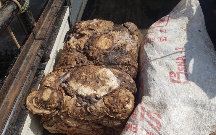 barang bukti berupa 2 (dua) balok getah karet dengan berat 96 Kg