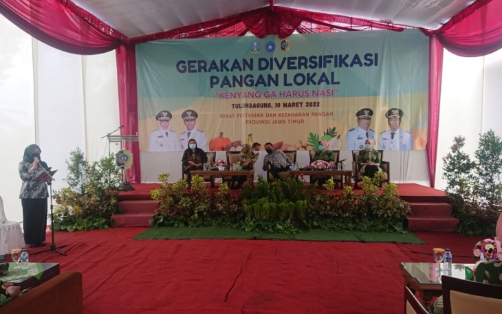 Sosialisasi gerakan diversifikasi pangan lokal di Tulungagung, oleh Dipertakp Jatim