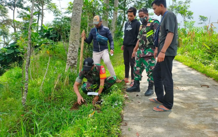 Penghijauan jalur pendakian Gunung Bismo