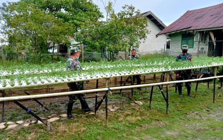  Ketahanan Pangan Dengan Program IFS