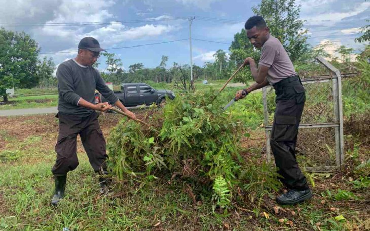 Jaga kebersihan lingkungan spot pertanian dan spot ternak babi