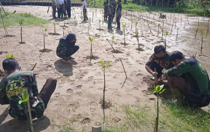 Penanaman mangrove di pesisir pantai Watu Mejo