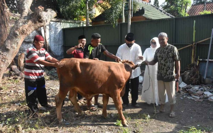 Dandim Madiun serahkan hewan qurban 