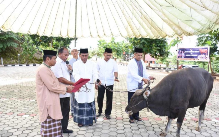 Pangdam Kasuari saat menyerahkan hewan kurban