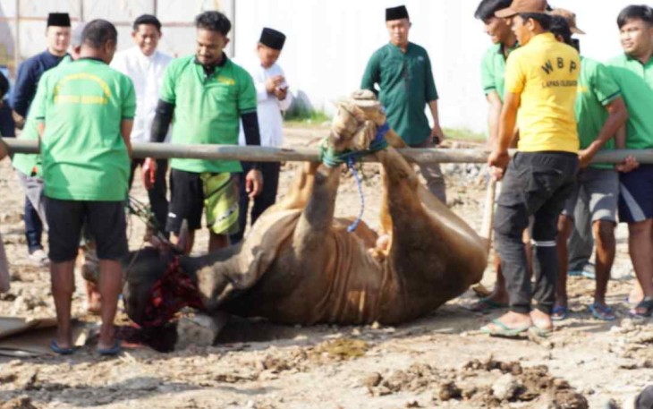 Warga binaan antusias saat penyembelihan hewan kurban di Lapas Cilegon 