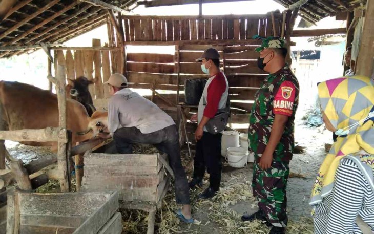 Vaksinasi PMK hewan ternak warga binaan