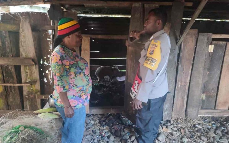 Kunjungi spot ternak babi warga binaan di wilayah Kabupaten Jayawijaya 