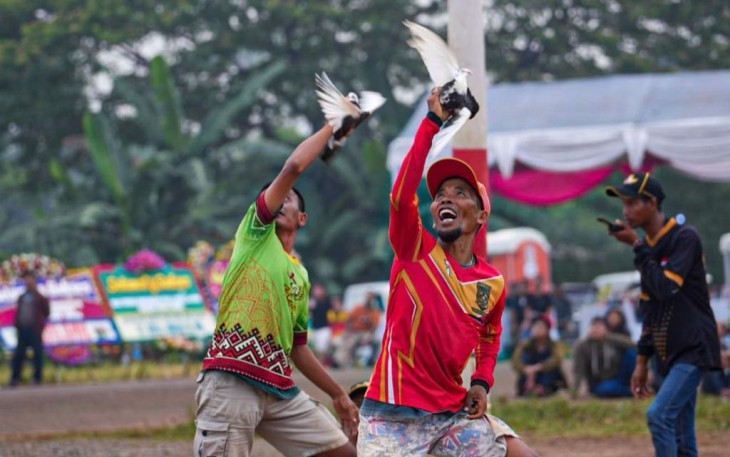 Lomba Merpati Kolong Piala MenKopUKM, di Landasan Udara Rumpin, Bogor, Jawa Barat, Minggu (18/9).