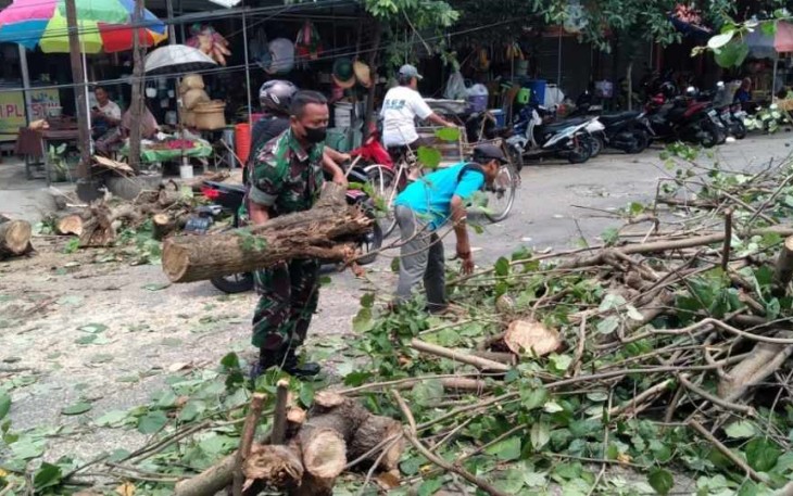 Singkirkan pohon tumbang halangi pengguna jalan