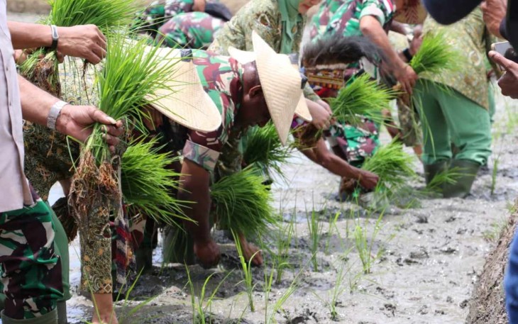 Danrem 172/PWY saat tanam padi di Kampung Helalua Distrik Assolokobal 