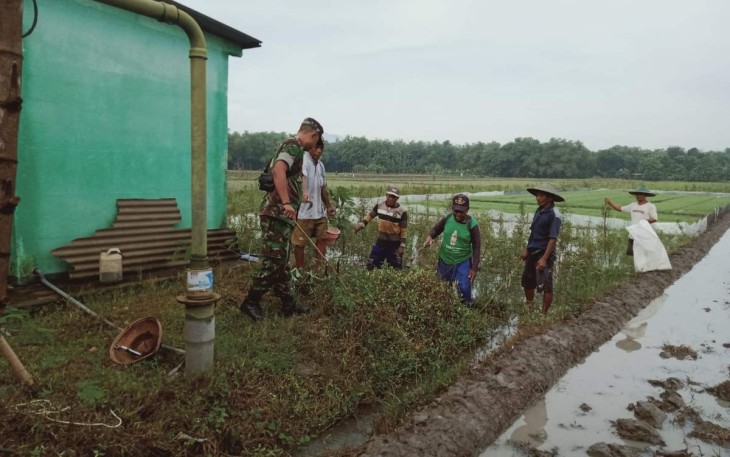 Gropyokan tikus wilayah desa binaan