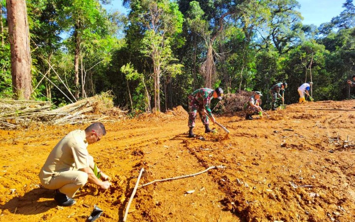 Gerakan Menanam Pohon Indonesia di perbatasan 