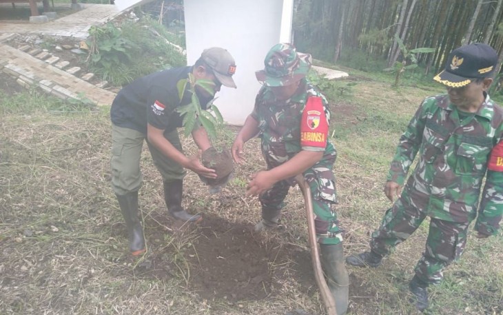 Penghijauan tanam pohon di hutan lindung