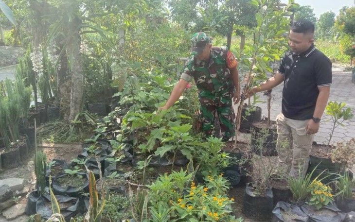 Program Gema Parut manfaatkan pekarangan rumah tanam sayur mayur 