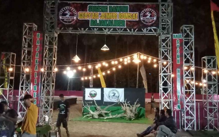 Komunitas Bajakaliber gelar gebyar jemur bonsai 