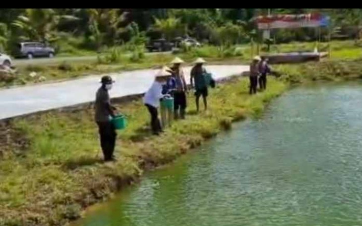 Syarifah Olvah Bwefar Alhamid (baju putih) berikan pakan ikan bersama petani di Dekai. Kamis (05/05/2022)