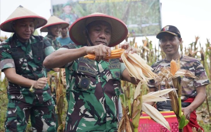 Pangdam Kasuari Mayjen TNI Gabriel Lema memetik panen jagung perdana di Kabupaten Kaimana. Senin (28/11)