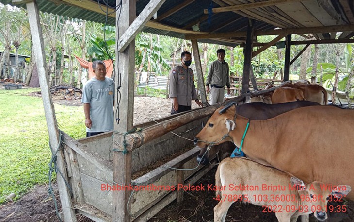 Bhabinkamtibmas Polres Kaur saat binluh peternak