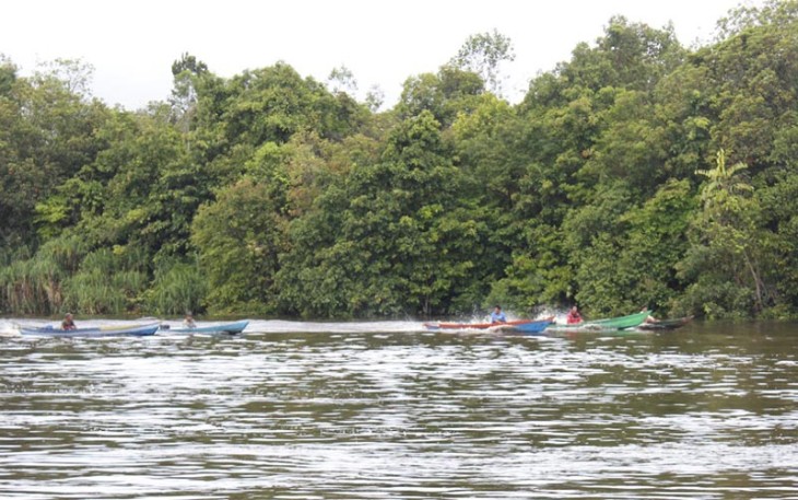 Lomba Balap Perahu