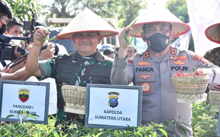 Pangdam didampingi Kapolda saat panen cabai