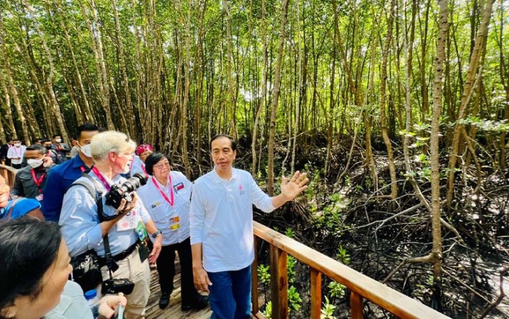 Presiden Jokowi saat Ajak Wartawan Berteduh di Tempat VVIP Tahura