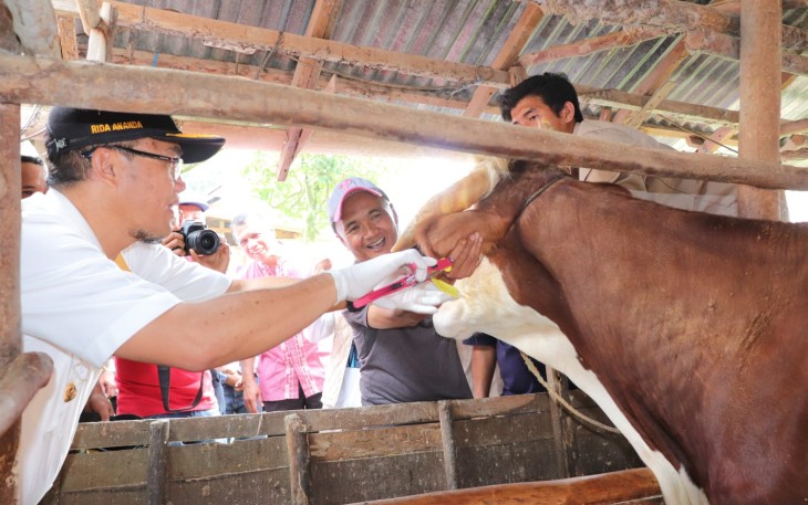 Acara Kick off pengendalian dan penanggulangan PMK tahun 2023 di Kelompok Tani Kociak, Kelurahan Tigo Koto Dibaruah, Kecamatan Payakumbuh Utara.