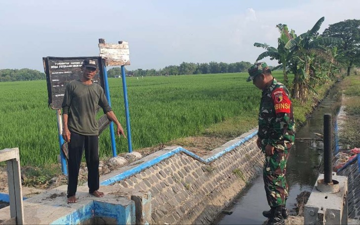 Pengecekan dam irigasi wilayah binaan