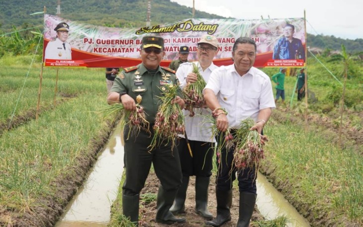 Danrem 064/MY Brigjen TNI Tatang Subarna saat panen raya bawang merah di kecamatan Kramatwatu, Kabupaten Serang, Rabu (11/1)