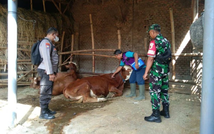 Vaksinasi PMK hewan ternak warga binaan