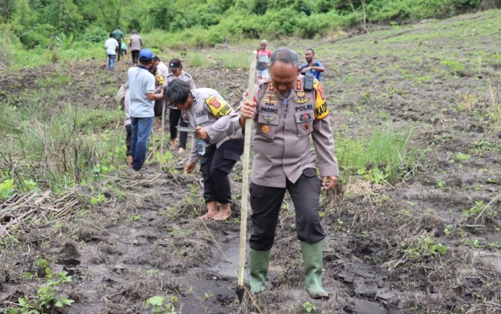 Kapolres Ngada AKBP Padmo Arianto, S.I.K bersama Personil Polres Ngada dan Polsek Soa, Dukung Program Ketahanan Pangan, tanam Sorgum seluas 20 ha, bertempat di Desa Wue, Kecamatan Wolomeze Kabupaten Ngada, Rabu (08/02/2023)